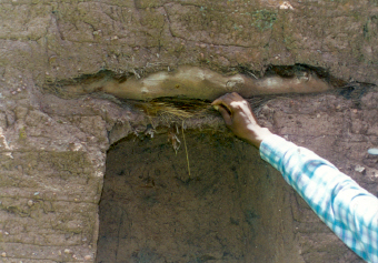 Intérieur d'un bâtiment d'Uchuy Cusco Niche, bois et Ichu